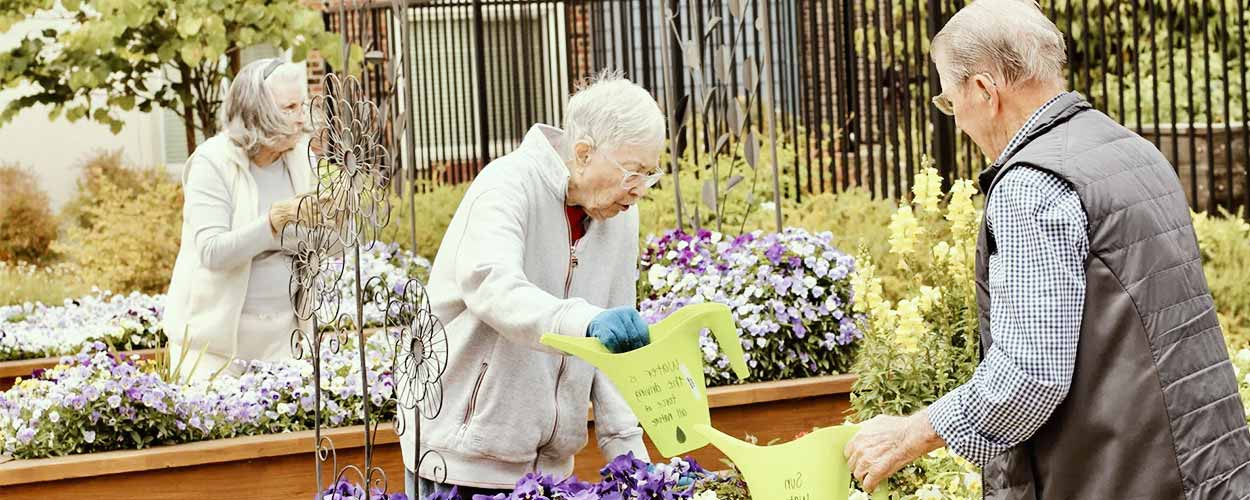 Assisted living facility near me