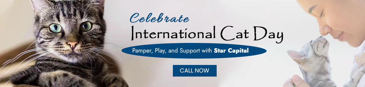 International cat day 2025