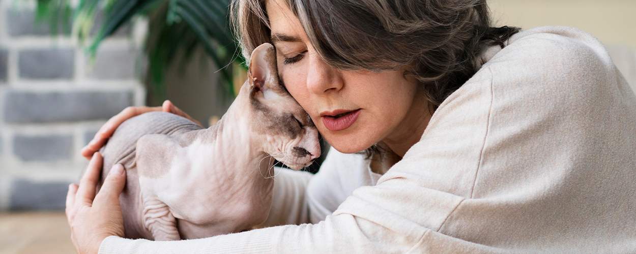 International cat day