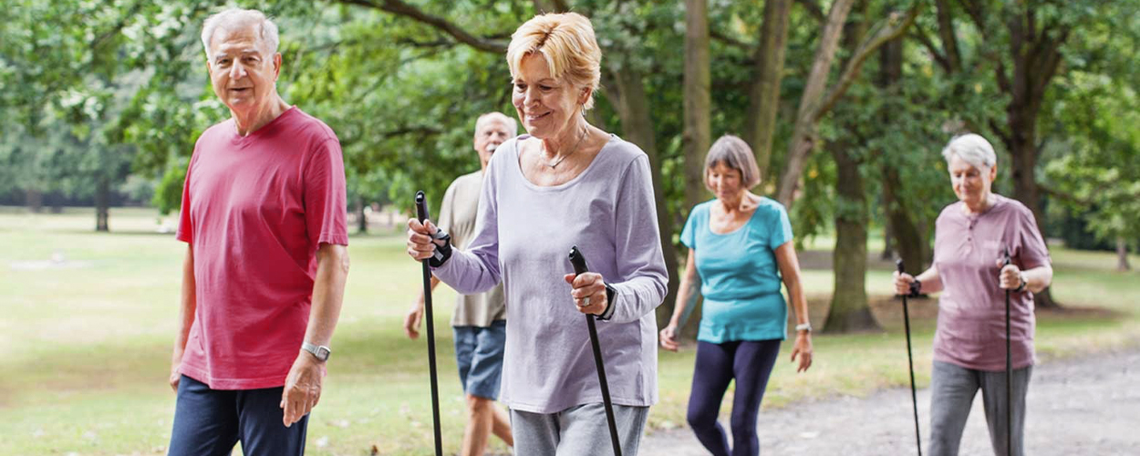 Lower back exercises for seniors