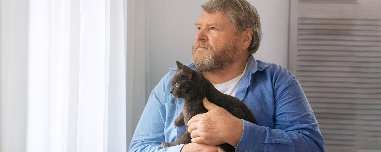 When is international cat day