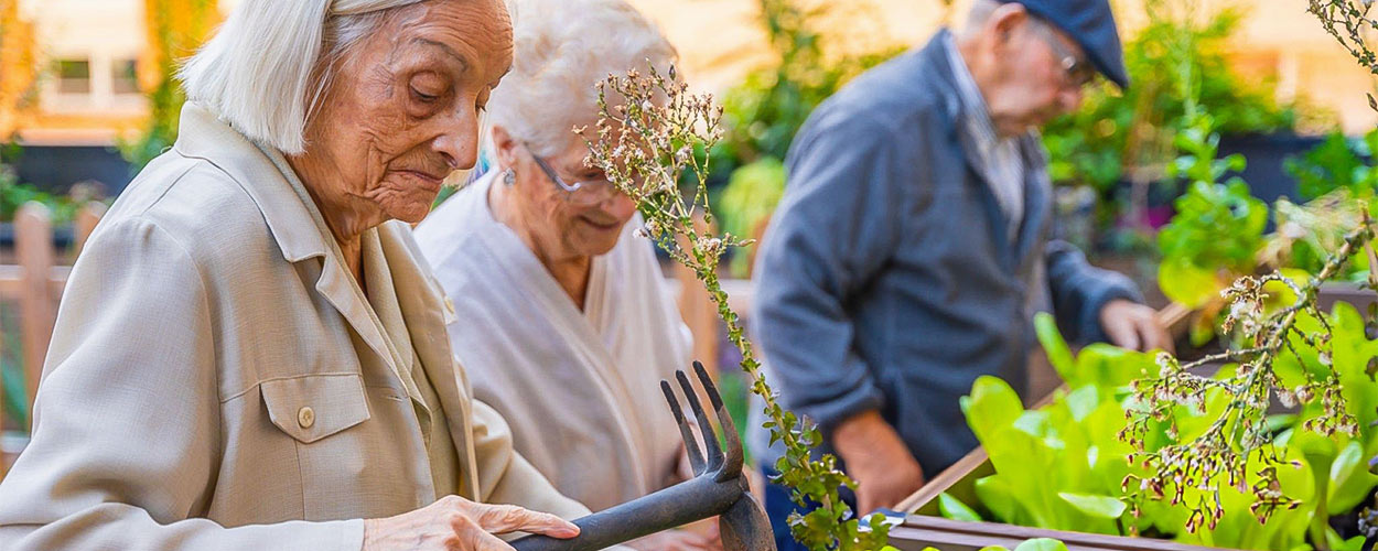 Summer activities for seniors